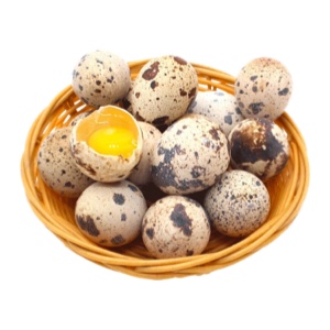 新鲜的鹌鹑蛋