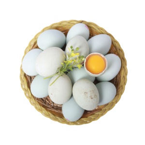 新鲜的鸭蛋